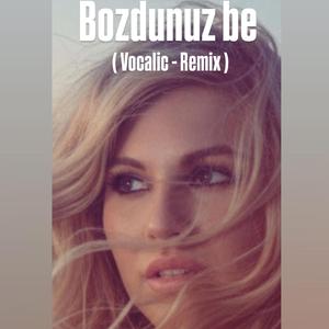 Bozdunuz be (Remix)