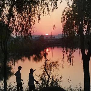 昏黃的殘陽和枕邊的玫瑰