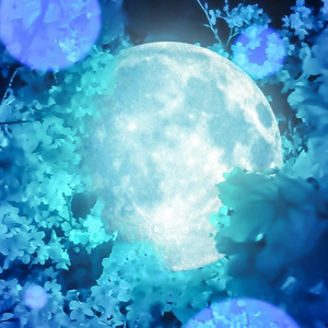 司宵子（Cover 冥月）