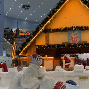 我的冬天忘记了下雪