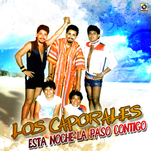 Queridisimo Señor Pacheco