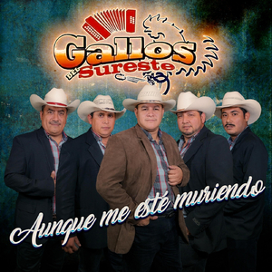 Aunque Me Esté Muriendo