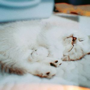 夏日逃离计划 (Prod. by Jeston)