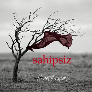 Sahipsiz