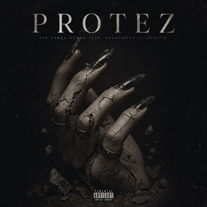 Protez