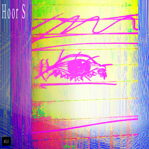 Hoor S