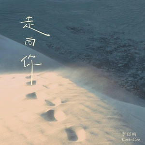 走向你（DJ弹鼓版）
