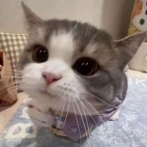 如果记忆也是一个罐头的话