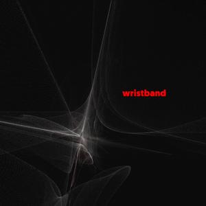 Wristband