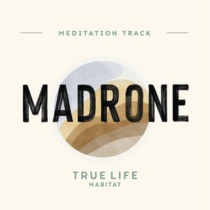 Madrone