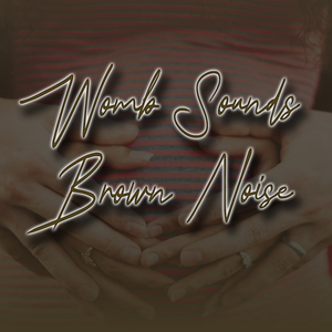 Baby Womb Noise