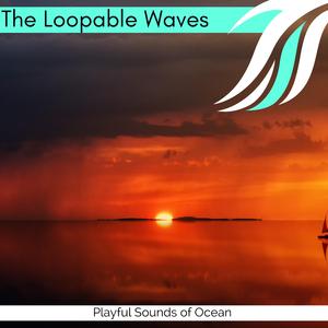 Divine South Carolina Beach Moments