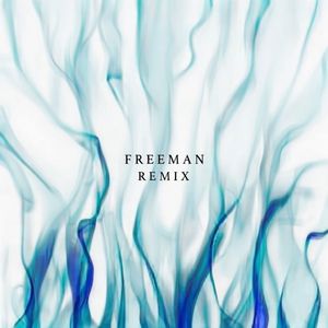 Freeman（Karzai remix）