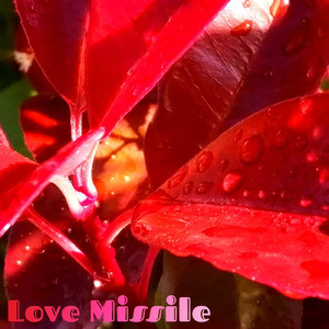 Love Missile