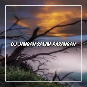 DJ JANGAN SALAH PASANGAN X RAP BONFIRE SOUND XPINN RMX
