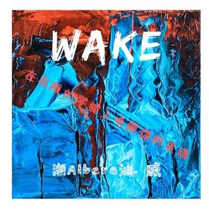 wake（采样Faded伴奏部分）