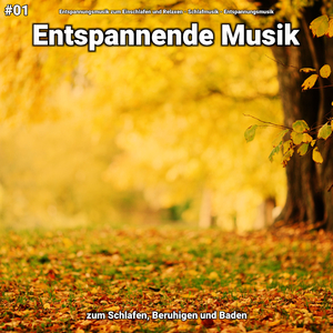 Entspannende Musik pt. 35
