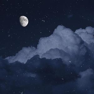 我想陪你看夏夜的星空