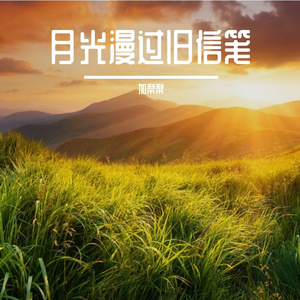 月光漫过旧信笺