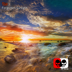 Forgotten Sunlight (Original Mix)