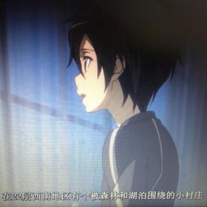 刀剑神域(freestyle)