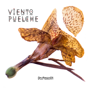 Viento Puelche
