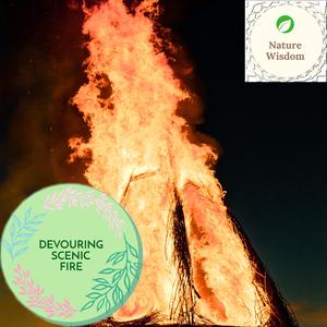 Saddness by the Lake