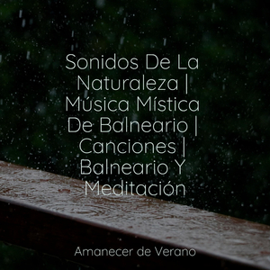 Paraíso de Ritmo Berrylicious