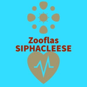 Zooflas