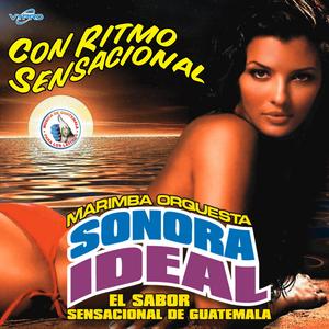 Cumbias Sensacionales: Supe Perder / Amor Sin Palabras / Para Que Quieres Volver