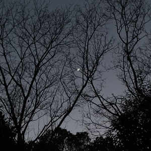沉溺