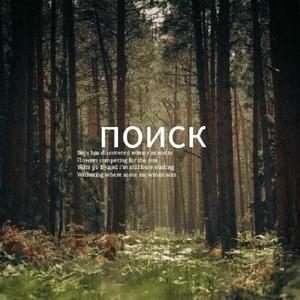 поиск