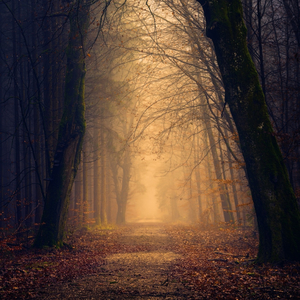 Gizli Yol (feat. ENVER)