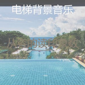 精致的假期环境