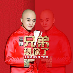 兄弟想你了 (伴奏)