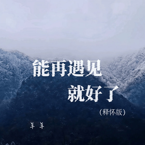能再遇见就好了 (释怀版)