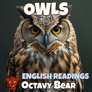 Owls (English Readings)