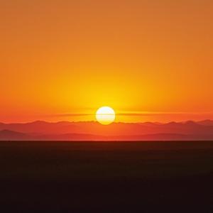 让你自由 (现场)