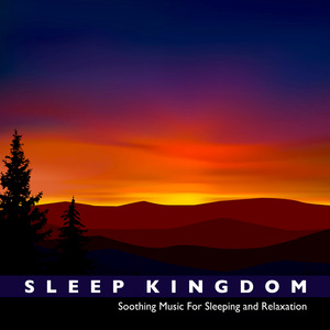 Music For Sleep