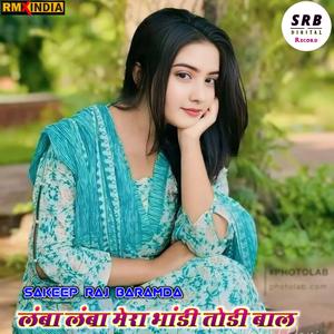 लंबा लंबा मेरा भांडी तोडी बाल