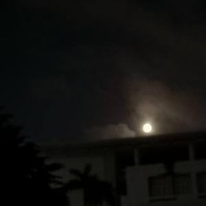 nobody (prod. by 9Zi)