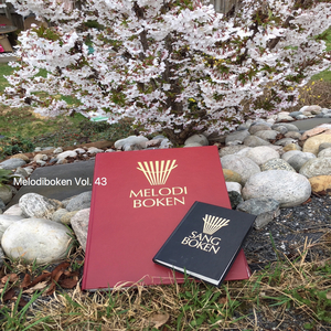 Det kimer nå til julefest