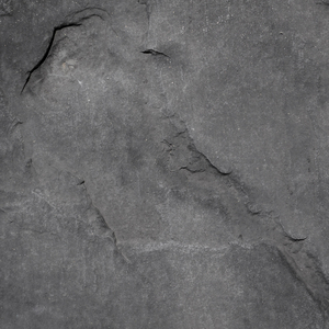 Penseés Circulaires