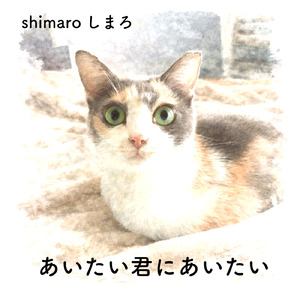 あいたい君にあいたい