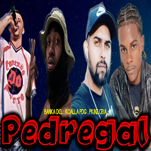 Pedregal