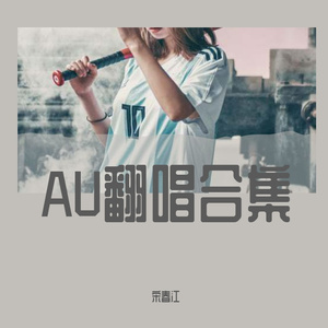 刘忠河-打金枝抖音版（宋春江 remix）