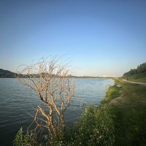 《时光琥珀》