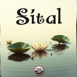 Sital
