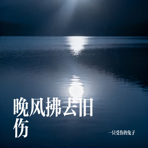 晚风拂去旧伤