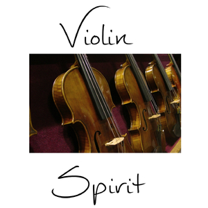 Concerto for Violin and Oboe in C Minor, BWV 1060R: II. Adagio